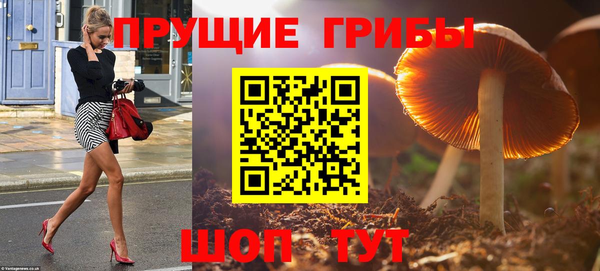 Псилоцибиновые грибы GOLDEN TEACHER  Вход с VPN  продажа наркотиков  Десногорск 