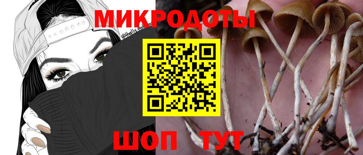 ГАШИШ  Марихуана  COCAIN  A PVP СК кристаллы  Десногорск  Вход с VPN  Меф  