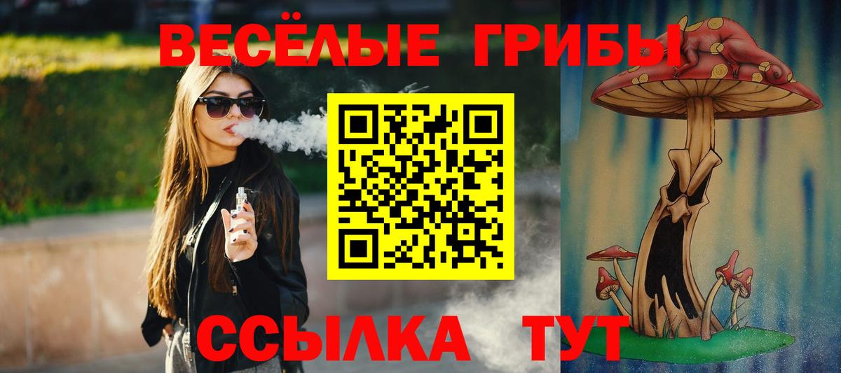 Галлюциногенные грибы Psilocybine cubensis Десногорск